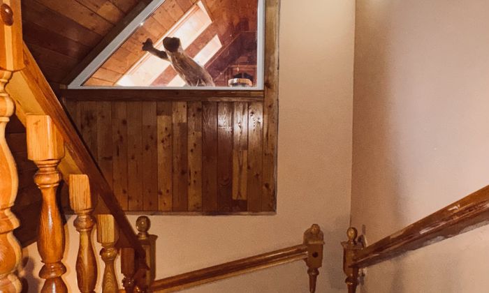 Куйбышева 16